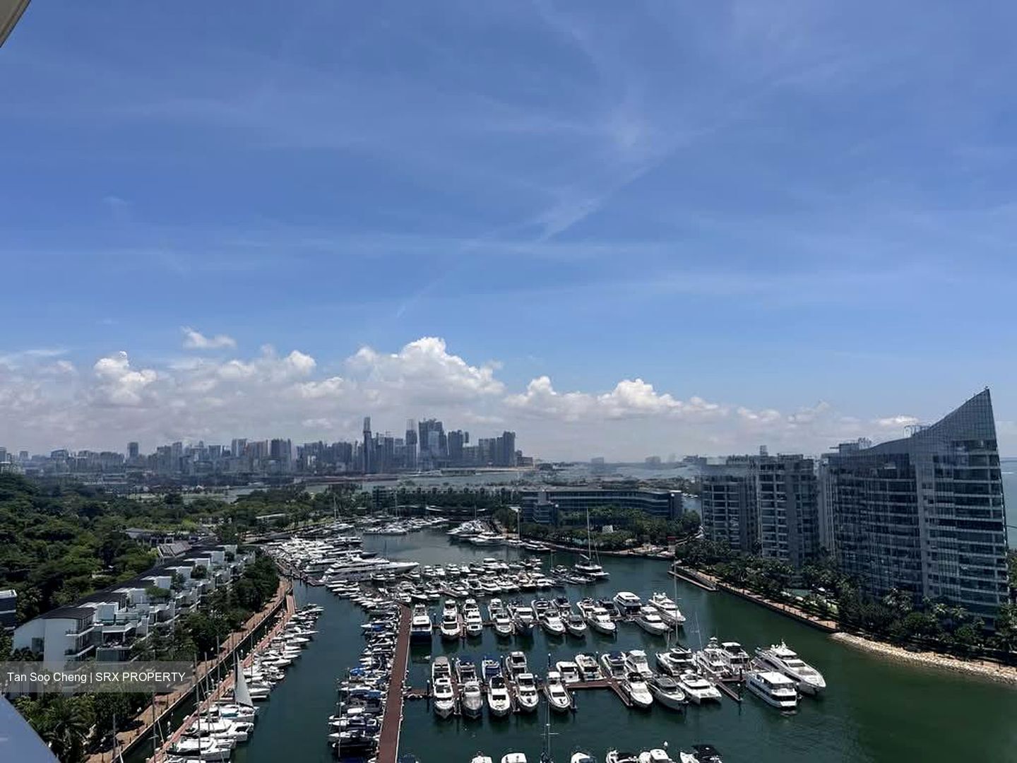 Cape Royale (D4), Condominium #568151011